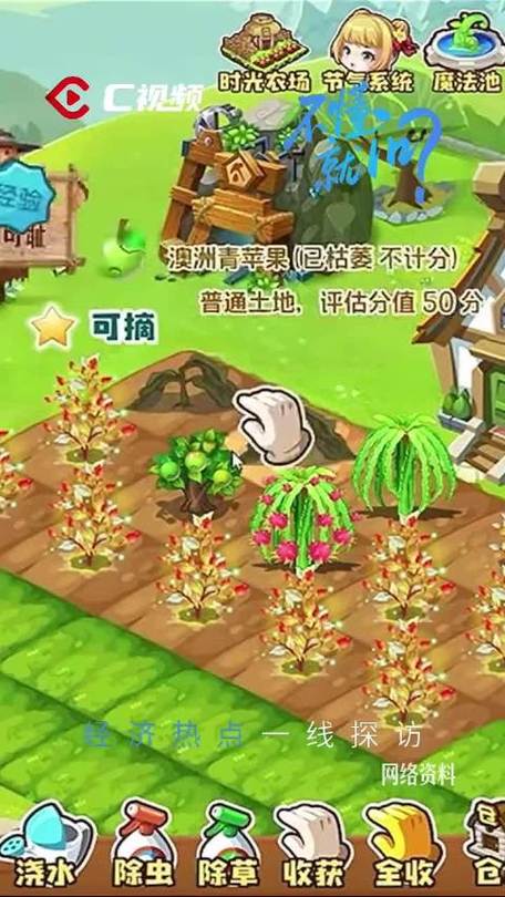 种菜赚钱的农场