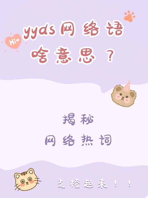 网络用语ccy