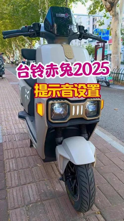 怎么关闭电动车锁车声音