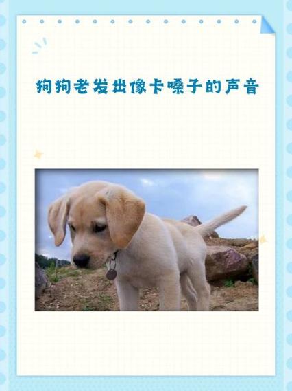 狗的叫声音频