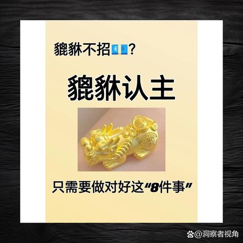 至尊副宠有什么用