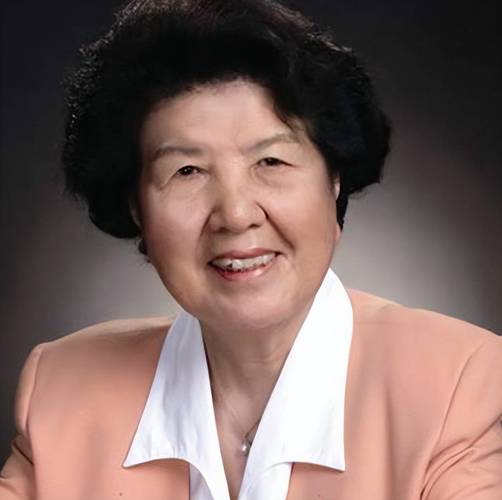 征服省委书记夫人叶辰的小说