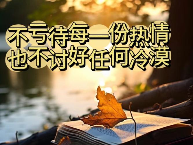 热情终究抵不过你的冷漠