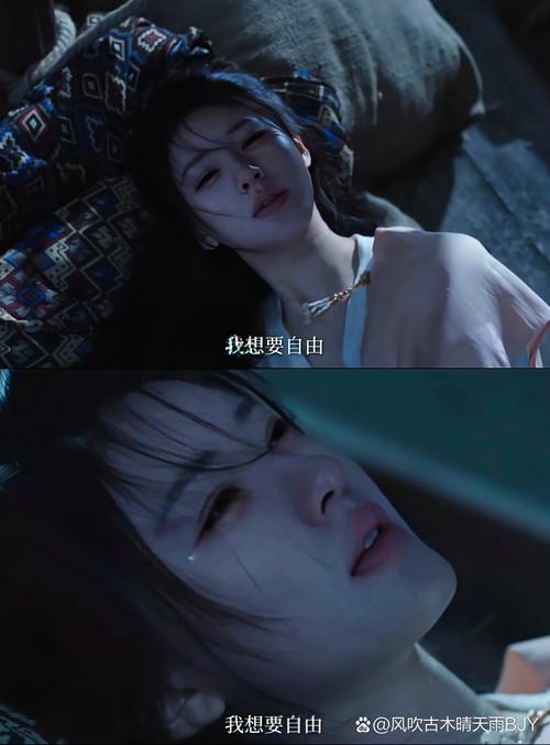 龙傲一生最后的结局截图1