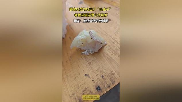 混沌昆虫