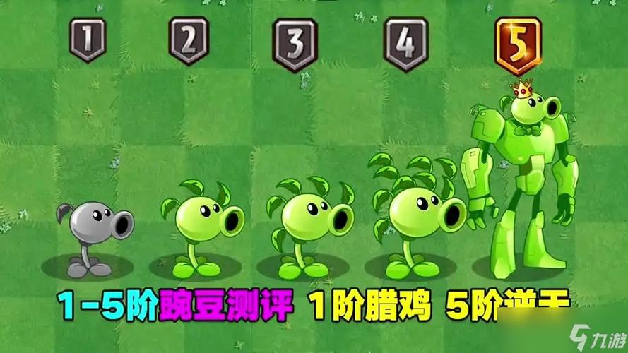 植物大战僵尸2快速升级5阶植物方法介绍