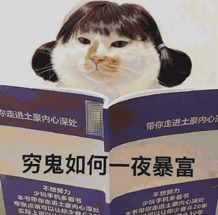 如何一夜暴富 如何一夜暴富