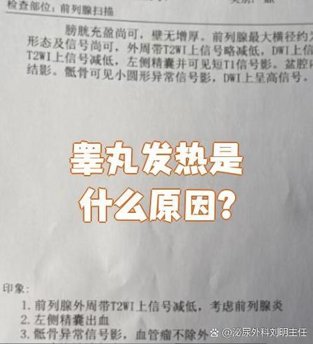 睾丸发热是什么原因截图2