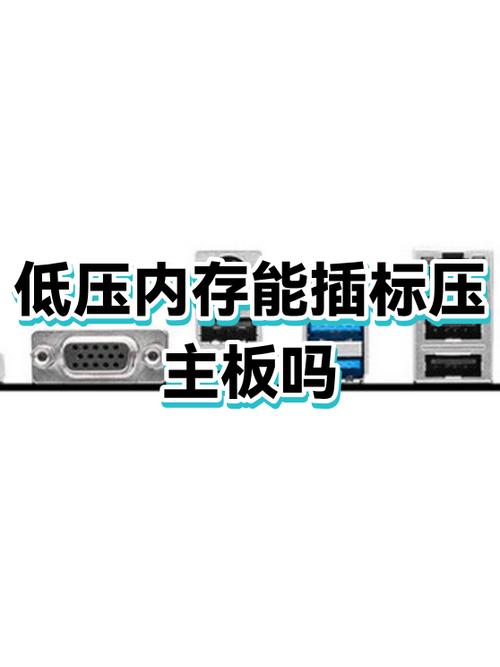 怎么看内存低压还是标压截图2