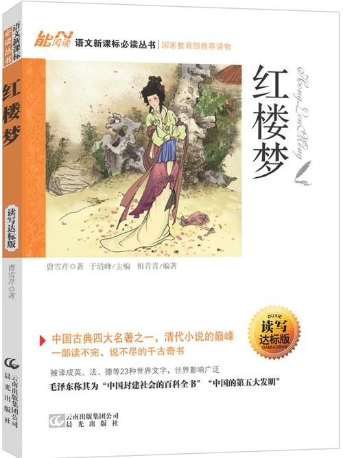 胬遍红楼梦的小说