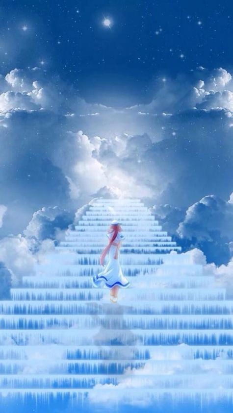 QQ天空呆呆手机乐园