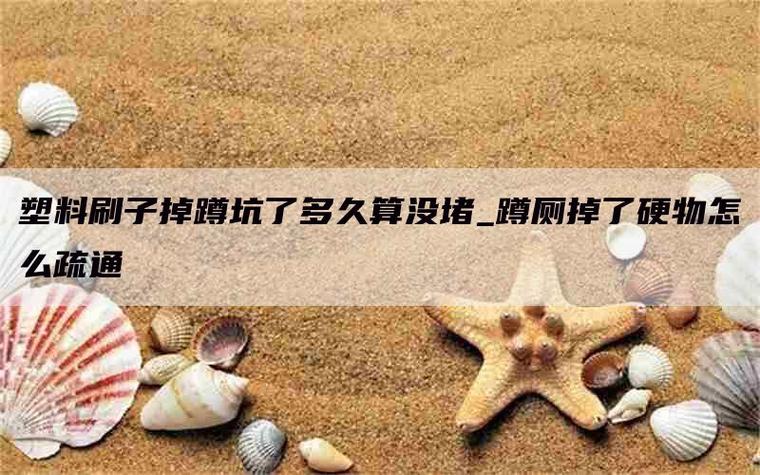 刷子掉进蹲厕里会堵吗