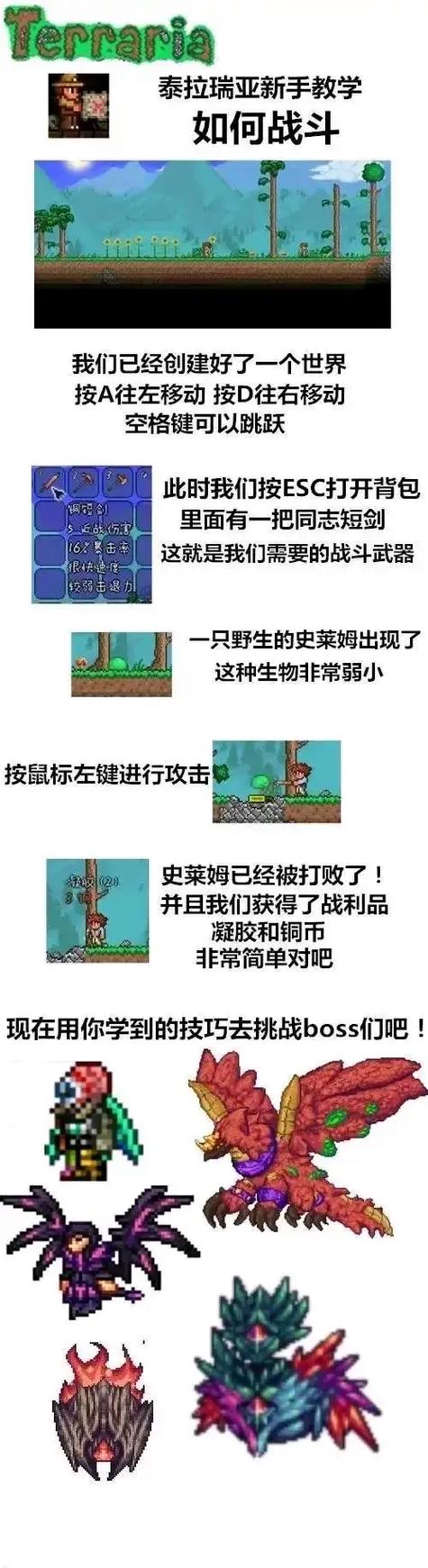 泰拉瑞亚灾厄吧