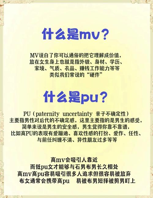 英语pulis是什么意思