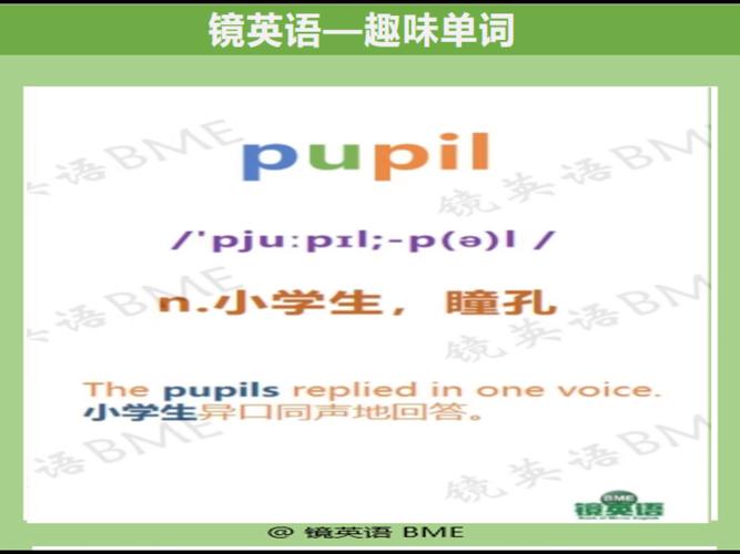 英语pulis是什么意思截图3
