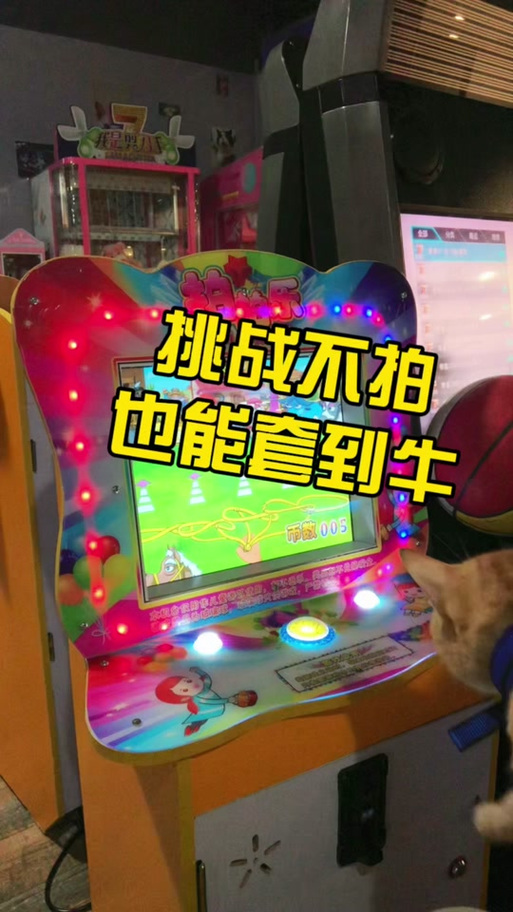 电玩城套牛游戏手机版