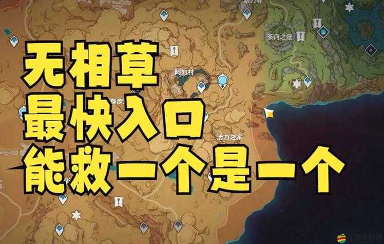 无相之草在地图哪个位置