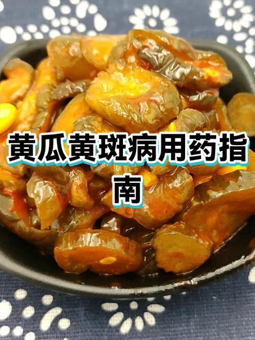 治黄瓜黄斑病妙招视频