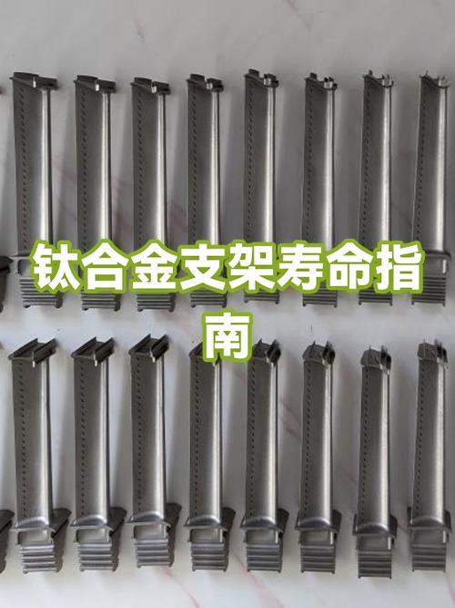 3个支架一般寿命多少年