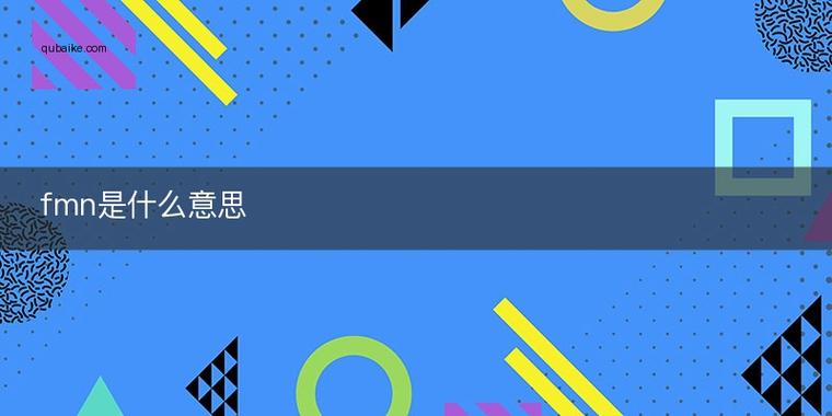 fmn的中文名称是什么