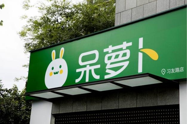 呆萝卜创始人简介