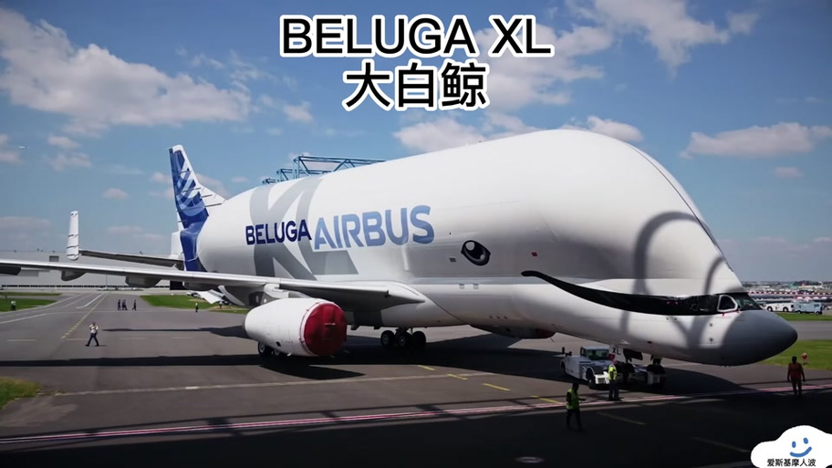 大白鲸飞机模型