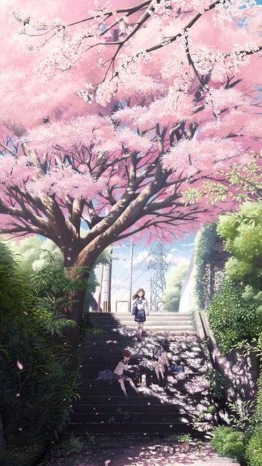 樱花动漫1截图1