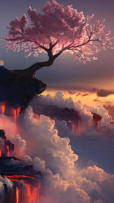 樱花动漫1截图3
