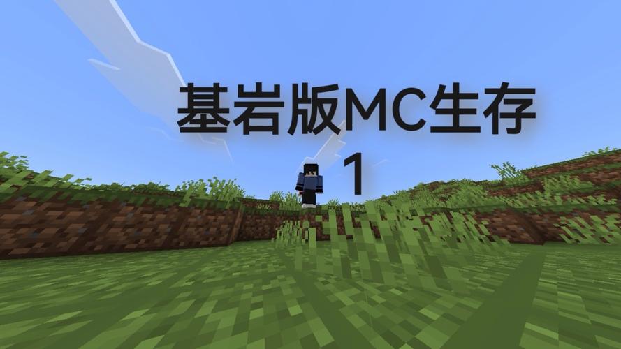 我的世界基岩底下是什么