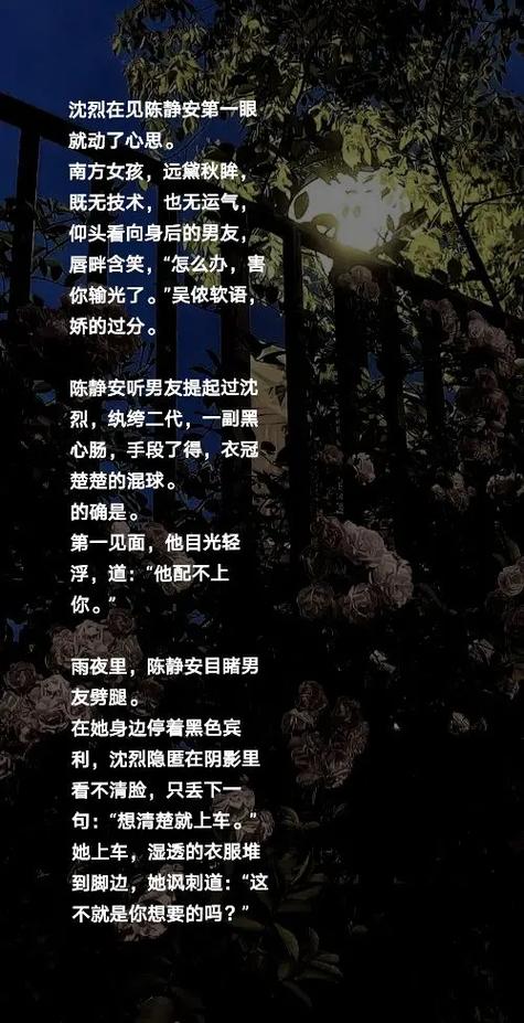 炽烈小说免费阅读截图1