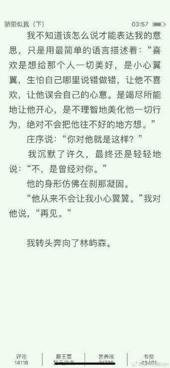 炽烈小说免费阅读截图3