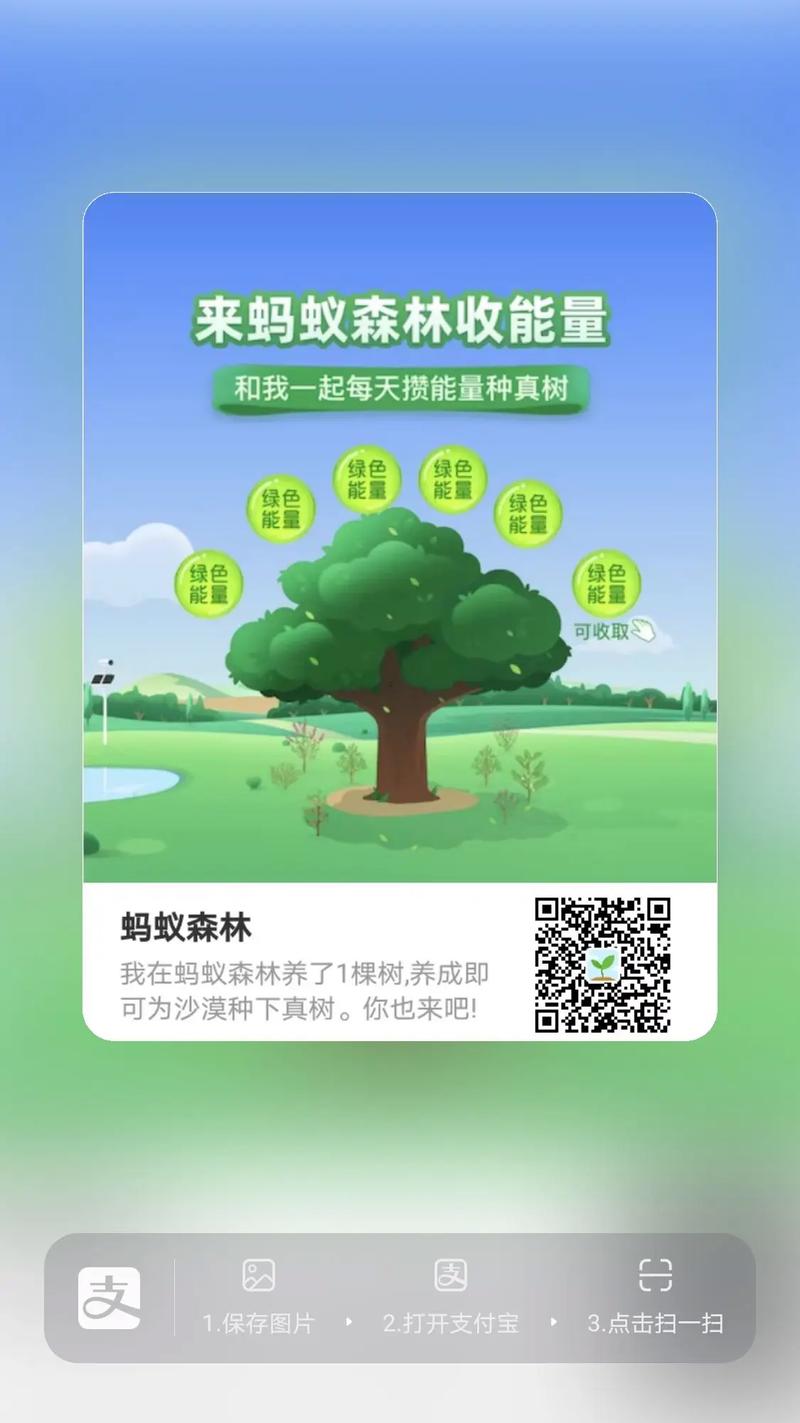 蚂蚁森林在哪种树