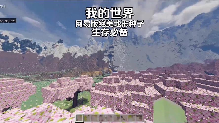 我的世界靠海平原种子截图2