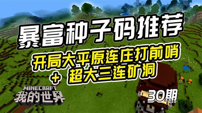我的世界靠海平原种子截图3