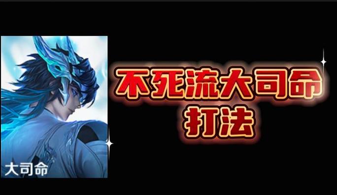 王者荣耀用铁链勾人的英雄