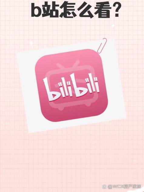 b站买回来的旧番哪里看