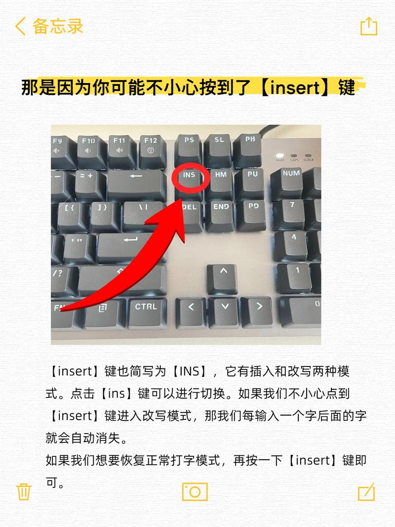 geektyper怎么打不了字
