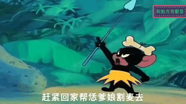 猫和老鼠搞笑方言版 猫和老鼠搞笑方言版
