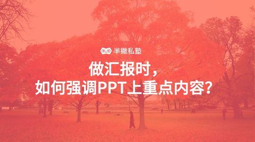 强调文字颜色2ppt