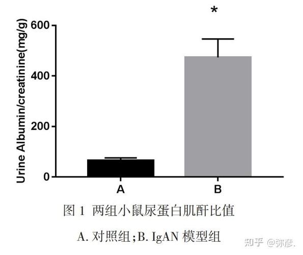 pas是什么检查项目 pas是什么检查项目