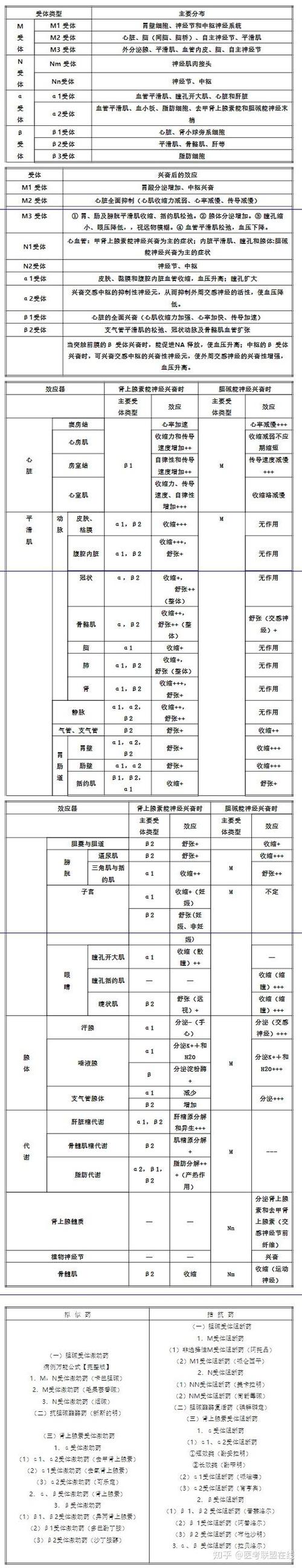 M项目接受程度自测表
