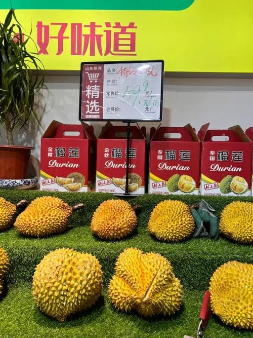山东泉森水果