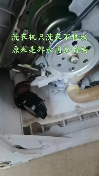 自动洗衣机内桶不转
