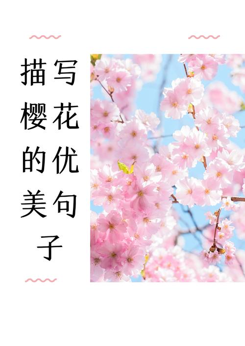 樱花的说说唯美句子