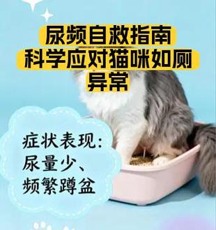 小便不舒服说不出的感觉