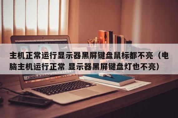 主机亮了鼠标键盘显示器不亮