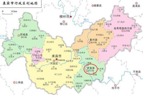 来宾市行政区划图 来宾市行政区划图