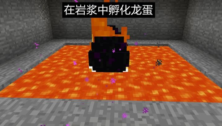 龙蛋怎么孵化