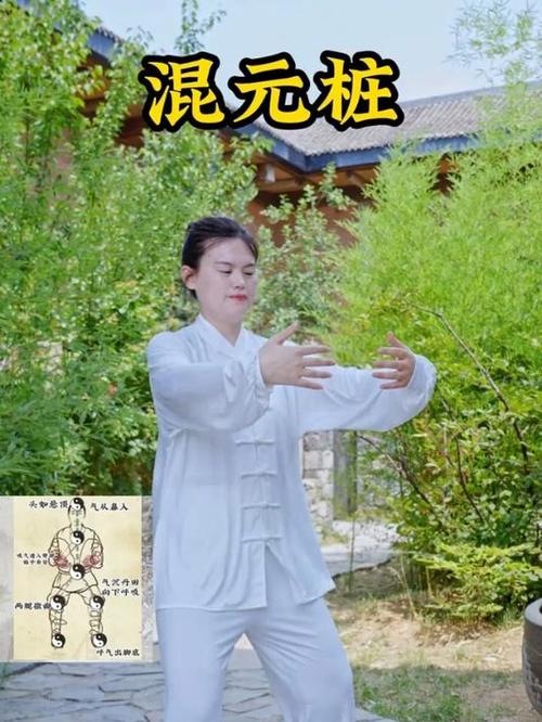 十大公认最好的桩功 十大公认最好的桩功