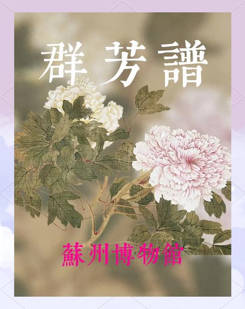 都市群芳谱叶飞小说在线阅读